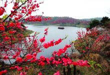 武宁花源谷景点图片