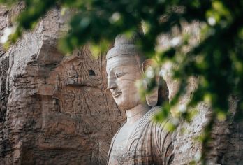 大同云冈石窟半日游【专职资深导游3H|深度讲解●多场次选择】【[导游服务]专职导游深度讲解，带你深度打卡世界三大石窟之一●云冈石窟；】