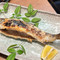 Amago Chaya