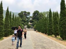 嵩阳景区-登封-听足音