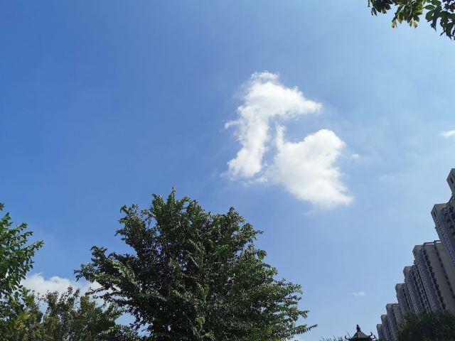 西局玉璞园旅行图片 8