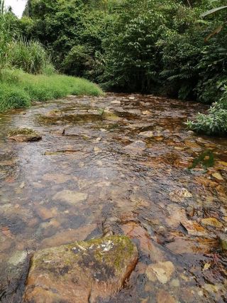 在广西大山深处，有太多漂亮的奇石了，你说那块最有价值呢？
