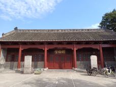 蒙城文庙-蒙城-大松树叶子