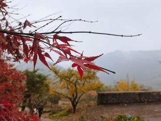 余姚四明山 静静的秋景