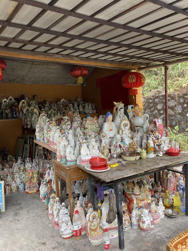 韶关国家森林公园旅行图片 6