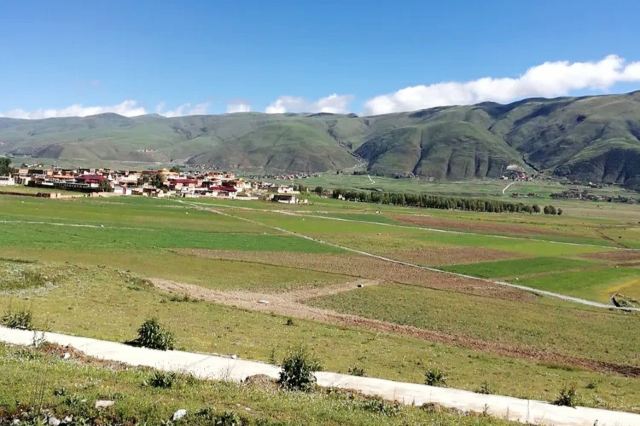 大金寺旅行图片 6