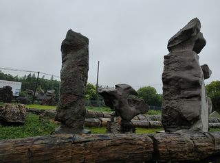 东方地质科普馆,千姿百态话沧桑(1)——上海3日(6)