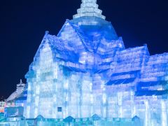 4日哈尔滨+五常+海林