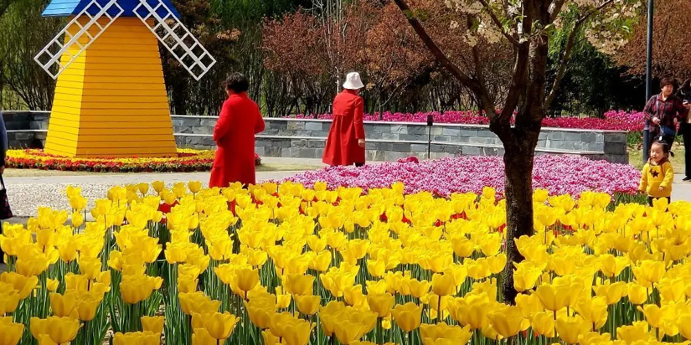 永安旅遊