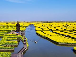 2021年春游盐城、兴化、淮安、盱眙、南京