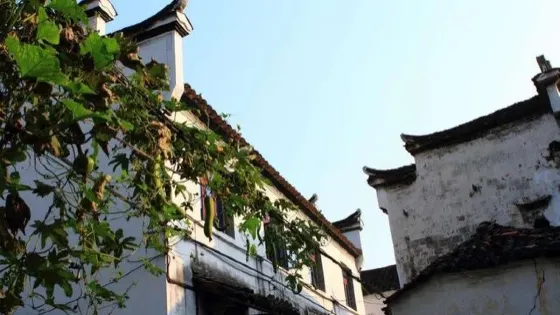 諸葛八卦村景區-大經堂