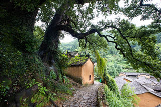 三天两晚畅游松阳,探寻“最后的江南秘境”