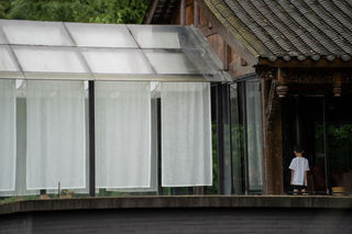 桐去山境，空山新雨的散心之旅