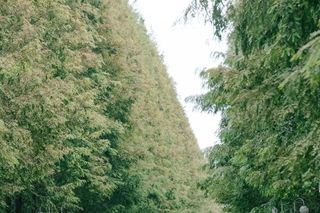 山海之旅|来日照这海滨小城，原来可以玩出大不同