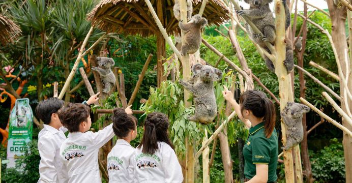 长隆野生动物世界景点图片 26