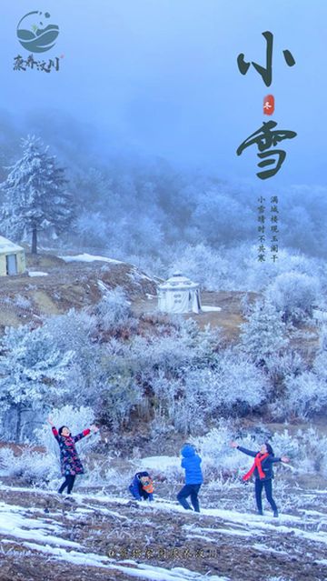 今日小雪 | 瑞雪随风飞舞，汶川美如诗画