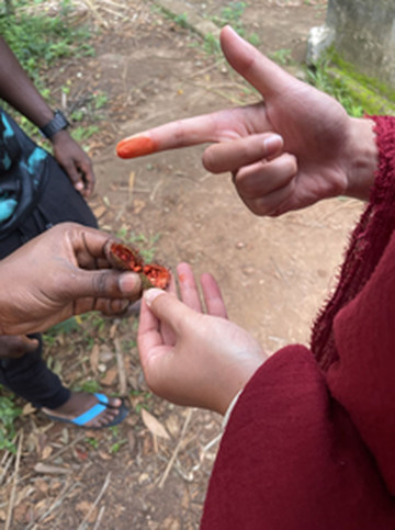 坦桑尼亚游记图片] 桑吉巴尔--印度洋的一滴泪！-2