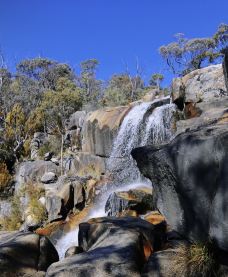 Lennox Gardens-亚拉伦拉-二十画生JQK
