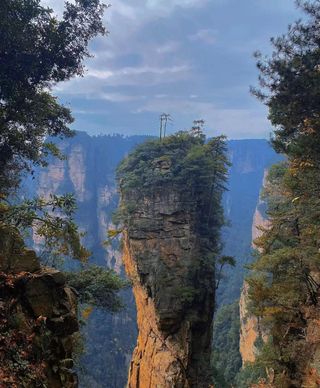 湖南:张家界森林公园一日游