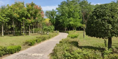 曹縣人民公園