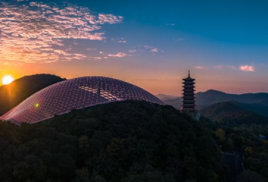 精致团丨牛首山文化旅游区+中山陵+梧桐大道+美龄宫【[金陵精选]南京牛首山深度打卡，中山陵美龄宫寻民国故事，打卡浪漫梧桐大道！】