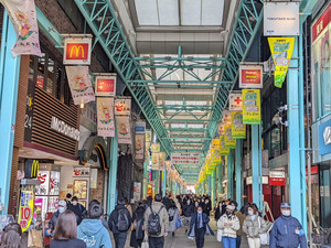 东京站/日本桥游记图文-日本旅游开放，又有哪些地方值得去的呢