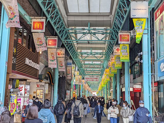 日本旅游开放，又有哪些地方值得去的呢