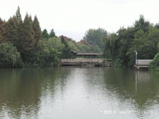 天鹅湖公园