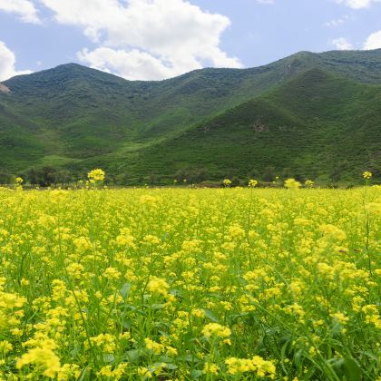 承德+乌兰布统旅游区2日1晚跟团游