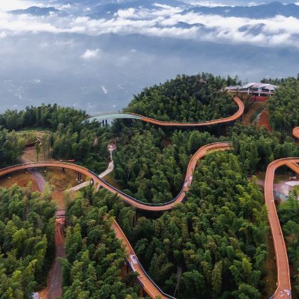 成都+成都大熊猫繁育研究基地+乐山大佛+三星堆博物馆+盐业历史博物馆+恐龙欢乐王国7日6晚私家团