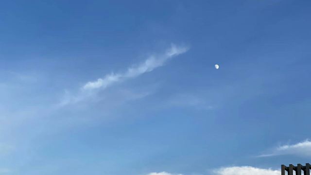 长春国际汽车公园旅行图片 4