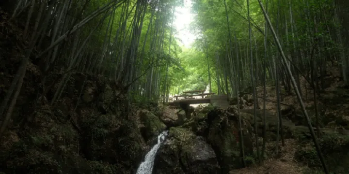 九龍湖旅遊區-九龍源