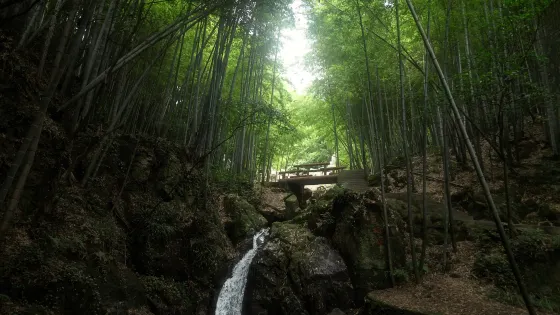 九龍湖旅遊區-九龍源