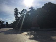 河源恐龙博物馆-河源-真诚7577