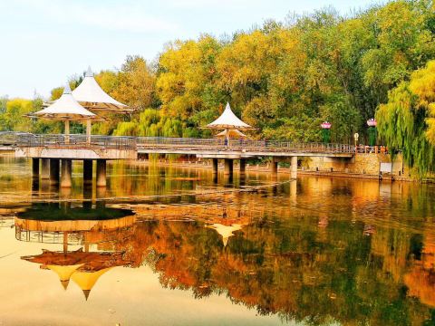 减河公园 · 北京市 · 景点
