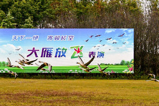 明珠湖公园大雁放飞表演很震撼