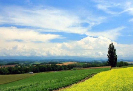 黑山头镇旅游图片-5日呼伦贝尔+陈巴尔虎旗+额尔古纳+满洲里