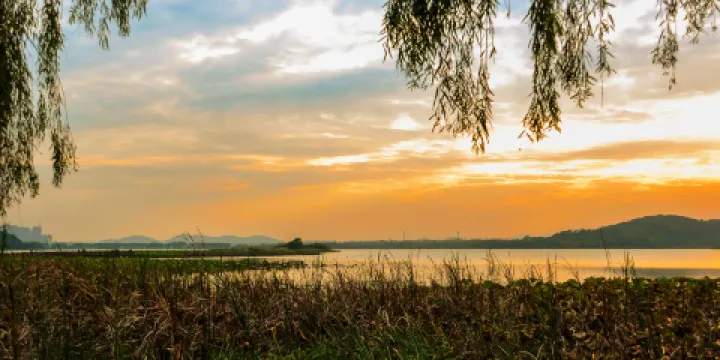 武漢後官湖國家濕地公園