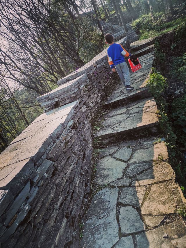 镇山村-千年古井旅行图片 8