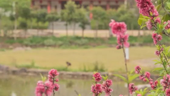 長泰龍人古琴文化村