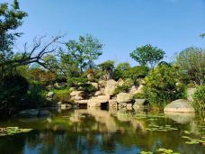 日照天台山-日照-YoYo_6R0X1V8A