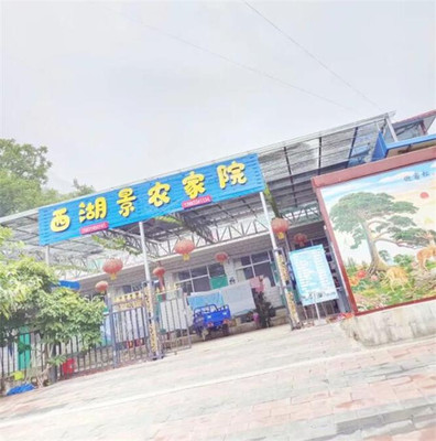 承德兴隆青松岭花市西湖景农家院,特色石磨豆腐,出门潺潺溪水!