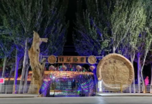 若羌县步行街(胜利路店)购物图片