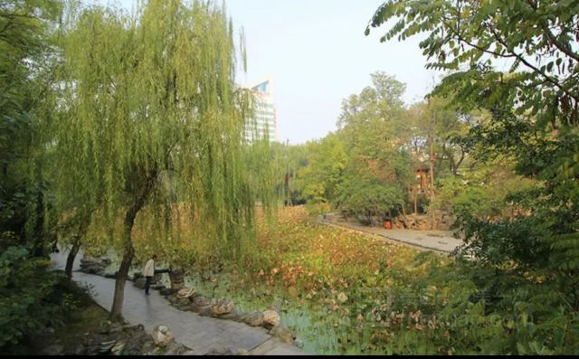 莲湖公园旅行图片 2