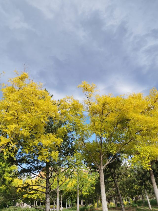 石景山古城公园旅行图片 3