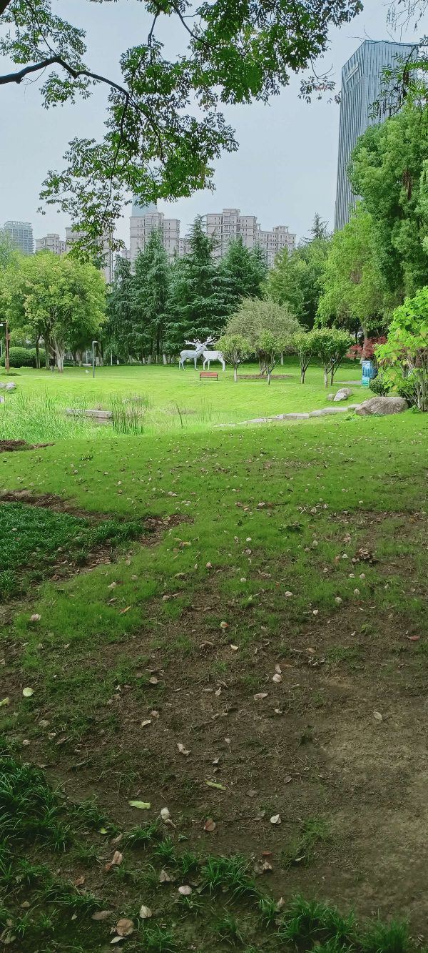 后襄河公园旅行图片 5