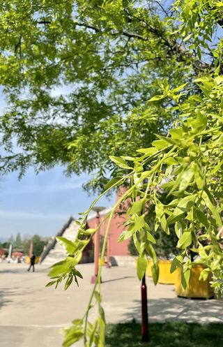 清明踏青正当时!西安周边游,楼观一线玩点多