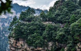 2022暑假（免门票）值得一去地方——张家界武陵源