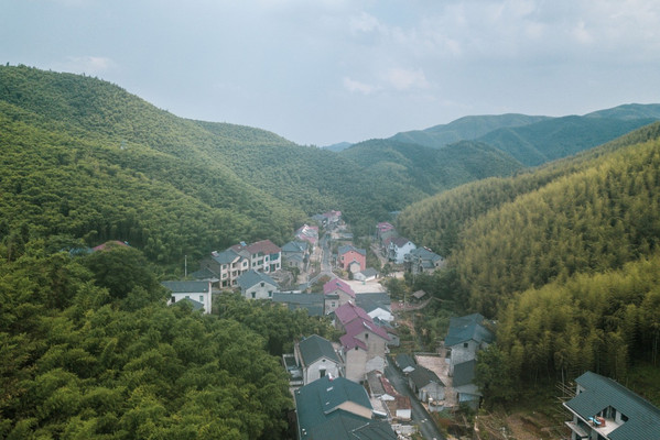 久在樊笼里 复得返自然 这里就是向往的生活(莫干山度假小记)