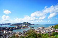 嵊山枸杞景区游记图片] 以梦为马，奔赴枸杞